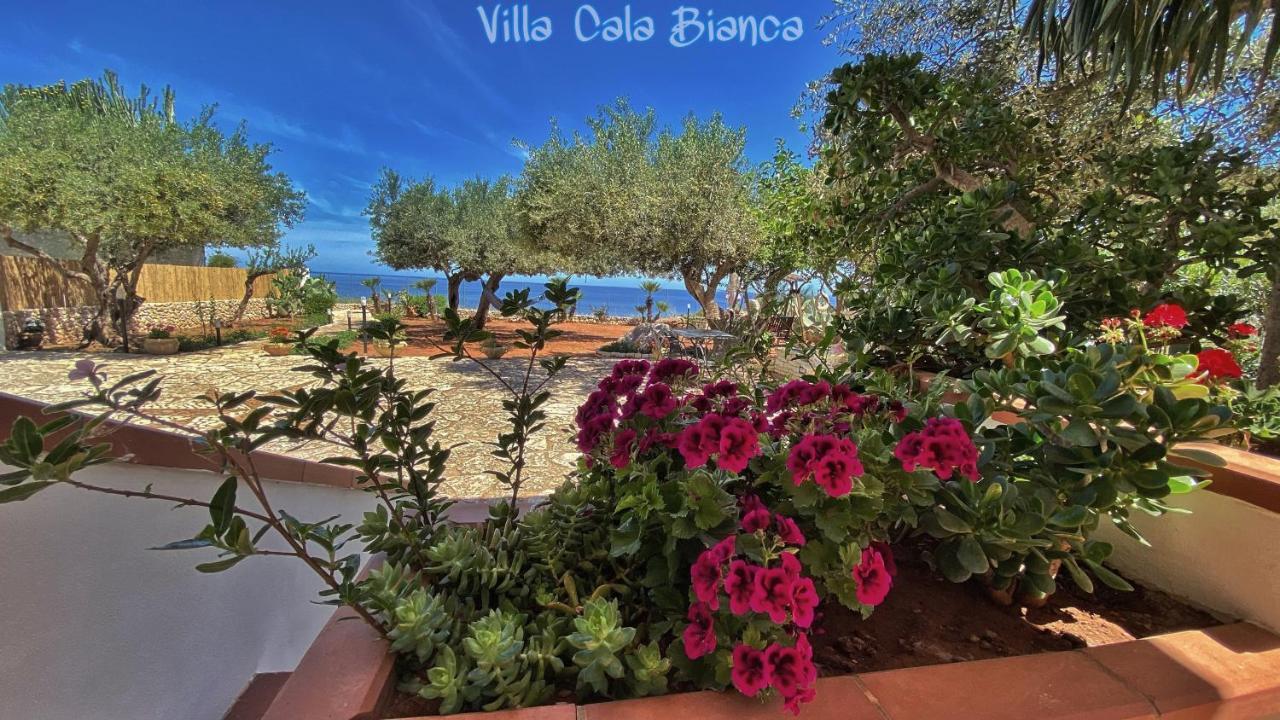 Villa Cala Bianca Castellammare del Golfo Buitenkant foto